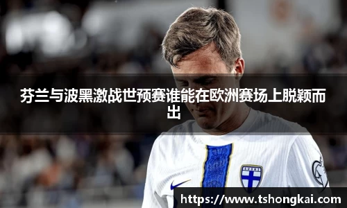 芬兰与波黑激战世预赛谁能在欧洲赛场上脱颖而出