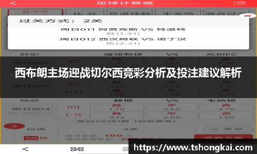 z6mg西布朗主场迎战切尔西竞彩分析及投注建议解析